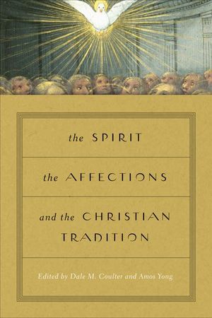 Buy The Spirit, the Affections, and the Christian Tradition at Amazon