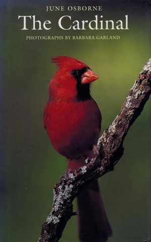 Buy The Cardinal at Amazon