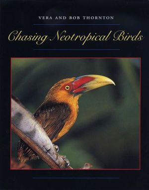 Buy Chasing Neotropical Birds at Amazon