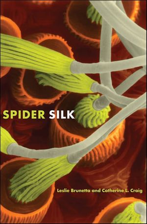 Spider Silk
