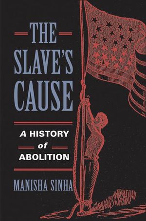 Buy The Slave's Cause at Amazon