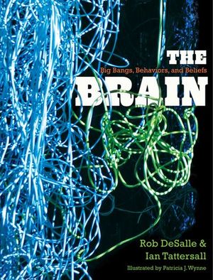 The Brain