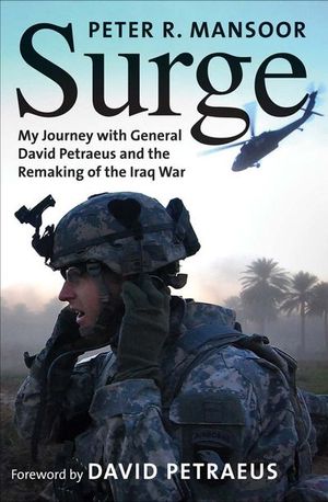 Buy Surge at Amazon