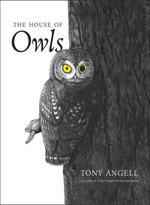 The House of Owls