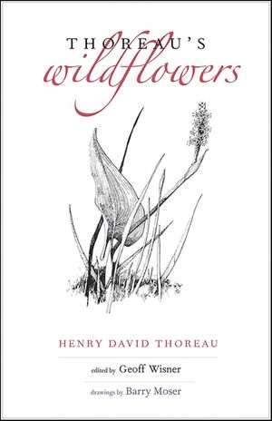 Thoreau's Wildflowers