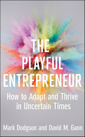 The Playful Entrepreneur