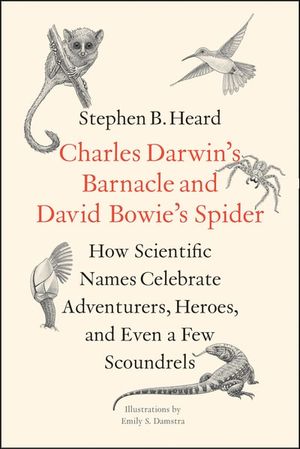 Charles Darwin’s Barnacle and David Bowie’s Spider