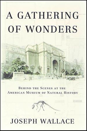 A Gathering of Wonders