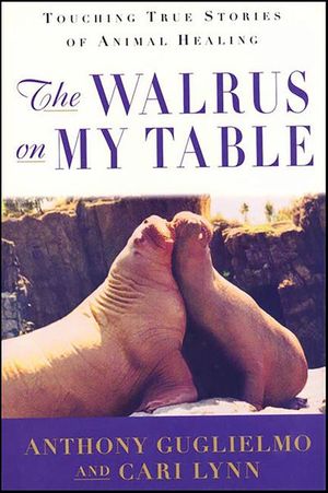 The Walrus on My Table