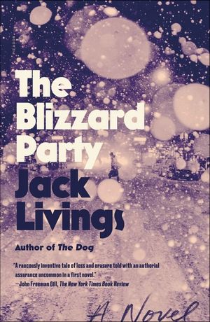 The Blizzard Party