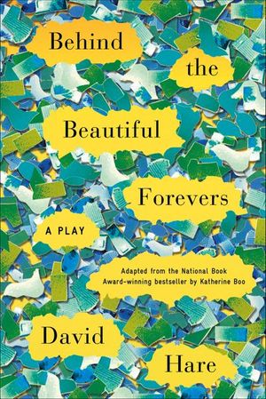 Buy Behind the Beautiful Forevers at Amazon