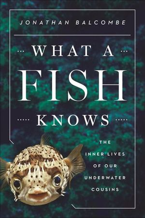 Buy What a Fish Knows at Amazon