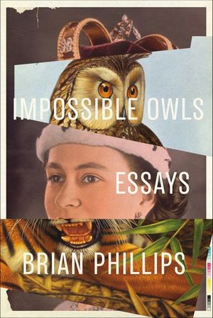 Buy Impossible Owls at Amazon