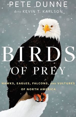 Buy Birds of Prey at Amazon