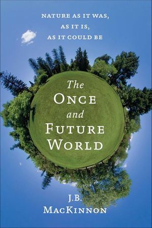 Buy The Once and Future World at Amazon