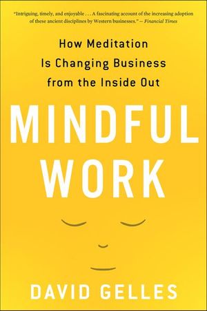 Buy Mindful Work at Amazon