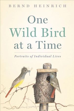 Buy One Wild Bird at a Time at Amazon