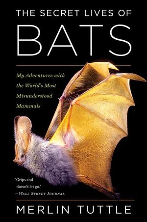 Buy The Secret Lives of Bats at Amazon