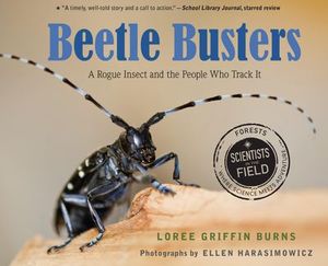 Buy Beetle Busters at Amazon
