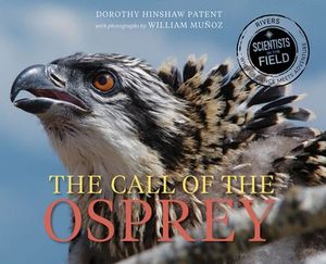 Buy The Call of the Osprey at Amazon
