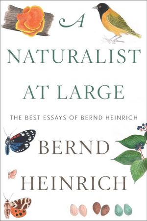 Buy A Naturalist at Large at Amazon