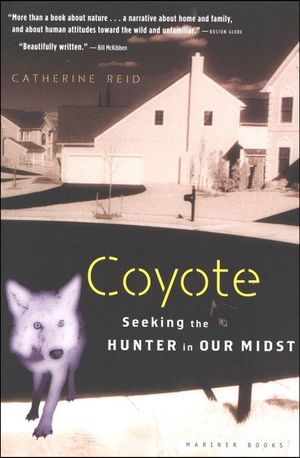 Buy Coyote at Amazon