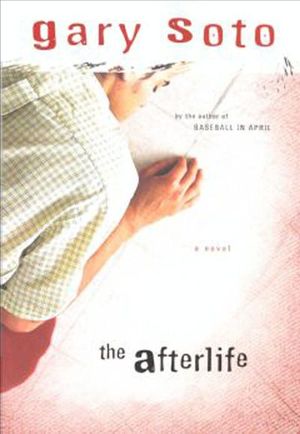 Buy The Afterlife at Amazon