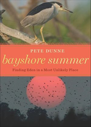 Bayshore Summer