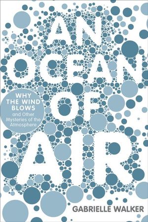 Buy An Ocean of Air at Amazon