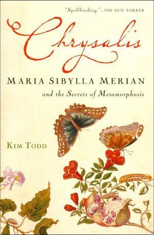 Chrysalis