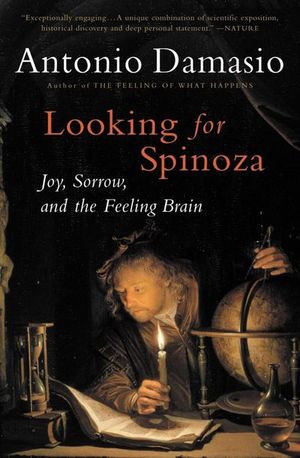Buy Looking for Spinoza at Amazon