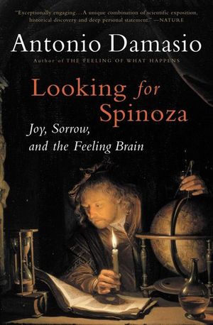 Looking for Spinoza