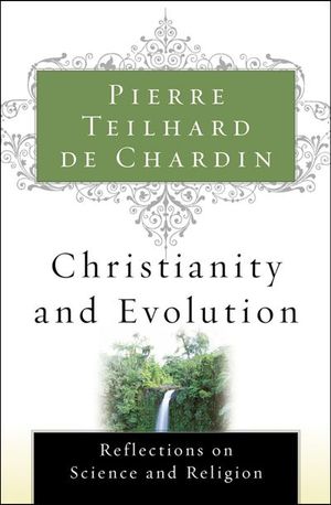 Buy Christianity and Evolution at Amazon