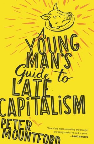 Buy A Young Man's Guide to Late Capitalism at Amazon