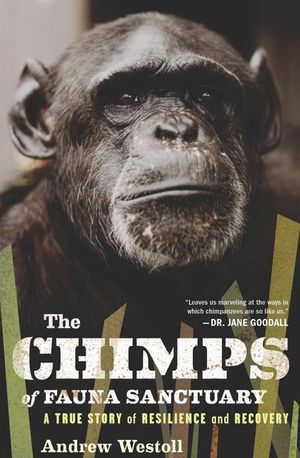 Buy The Chimps of Fauna Sanctuary at Amazon