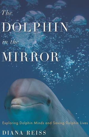 Buy The Dolphin in the Mirror at Amazon