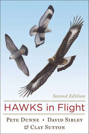 Buy Hawks In Flight at Amazon