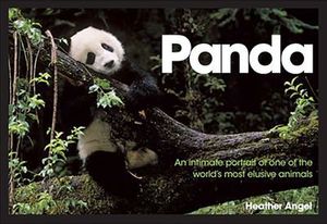 Buy Panda at Amazon