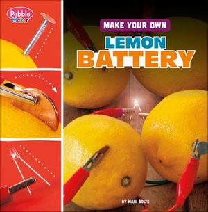 Make Your Own Lemon Battery