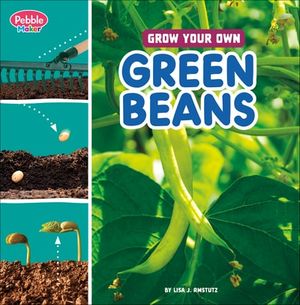 Grow Your Own Green Beans