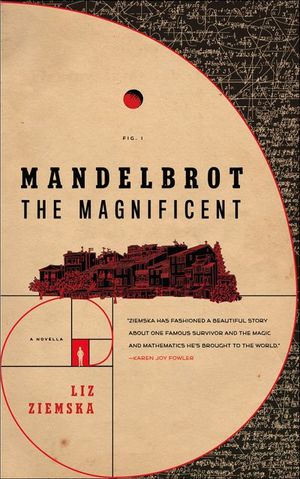 Buy Mandelbrot the Magnificent at Amazon