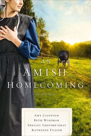 Buy An Amish Homecoming at Amazon