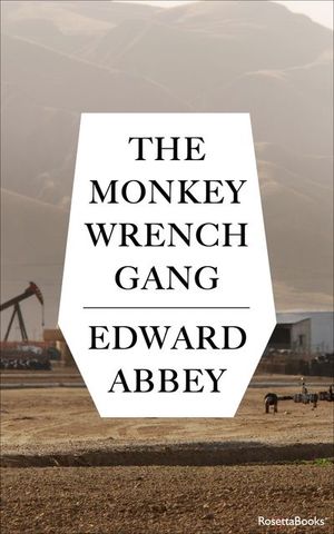 Buy The Monkey Wrench Gang at Amazon