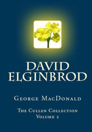 Buy David Elginbrod at Amazon