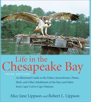 Buy Life in the Chesapeake Bay at Amazon
