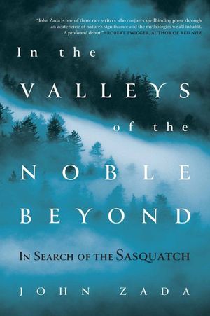 Buy In the Valleys of the Noble Beyond at Amazon