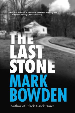 Buy The Last Stone at Amazon