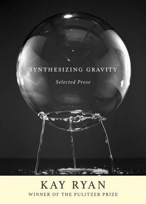 Buy Synthesizing Gravity at Amazon