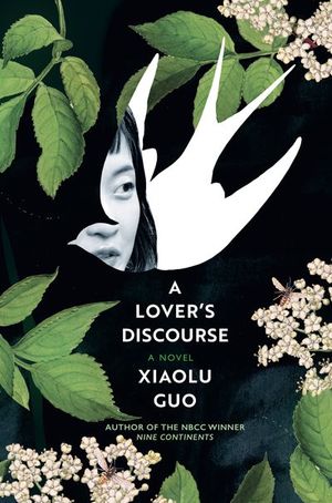 Buy A Lover's Discourse at Amazon