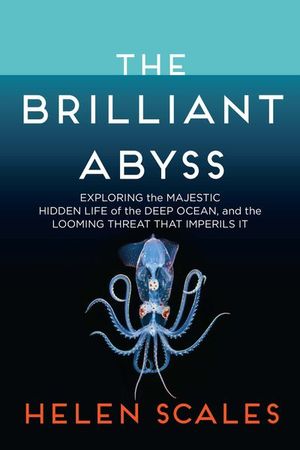 Buy The Brilliant Abyss at Amazon